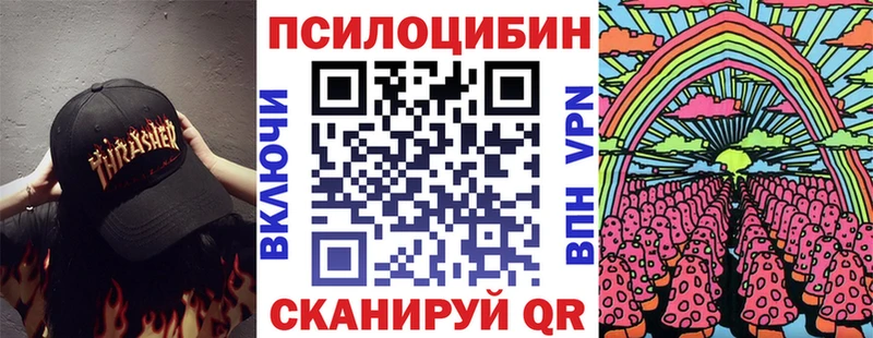 Псилоцибиновые грибы Psilocybine cubensis Петропавловск-Камчатский