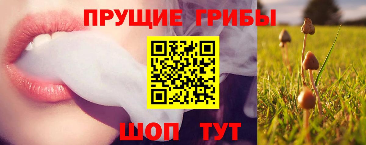 Псилоцибиновые грибы мицелий  Вход с VPN  Петропавловск-Камчатский 
